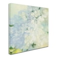 thumbnail image 2 of Trademark Fine Art 'White Lilacs Bright' Canvas Art by Julia Purinton, 2 of 3