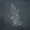 thumbnail image 2 of Allen, Kimberly 12x12 White Modern Wood Framed Museum Art Print Titled - Plant 2, 2 of 4