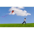 thumbnail image 2 of Posterazzi DPI1787398 Child Flying A Kite Poster Print by Don Hammond, 18 x 10, 2 of 4