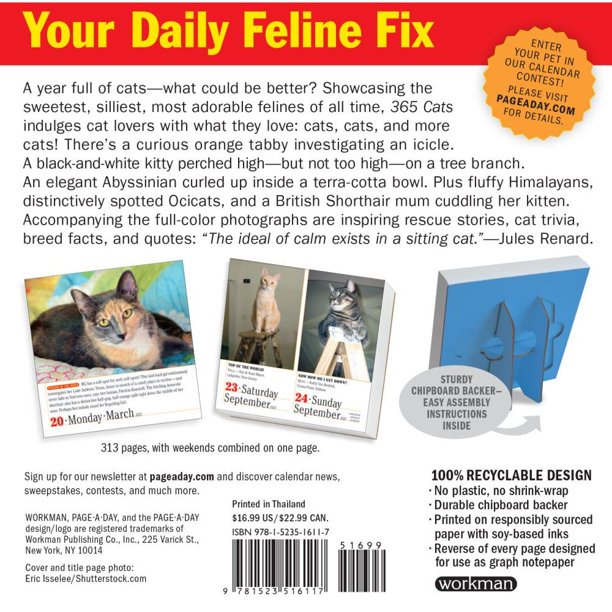 365 Cats Page-A-Day Calendar 2023 : The World's Favorite Cat Calendar ( Calendar) - Walmart.com