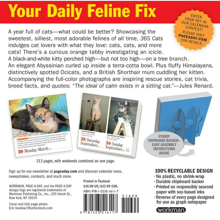 365 Cats Page-A-Day Calendar 2023 : The World's Favorite Cat Calendar ( Calendar) - Walmart.com