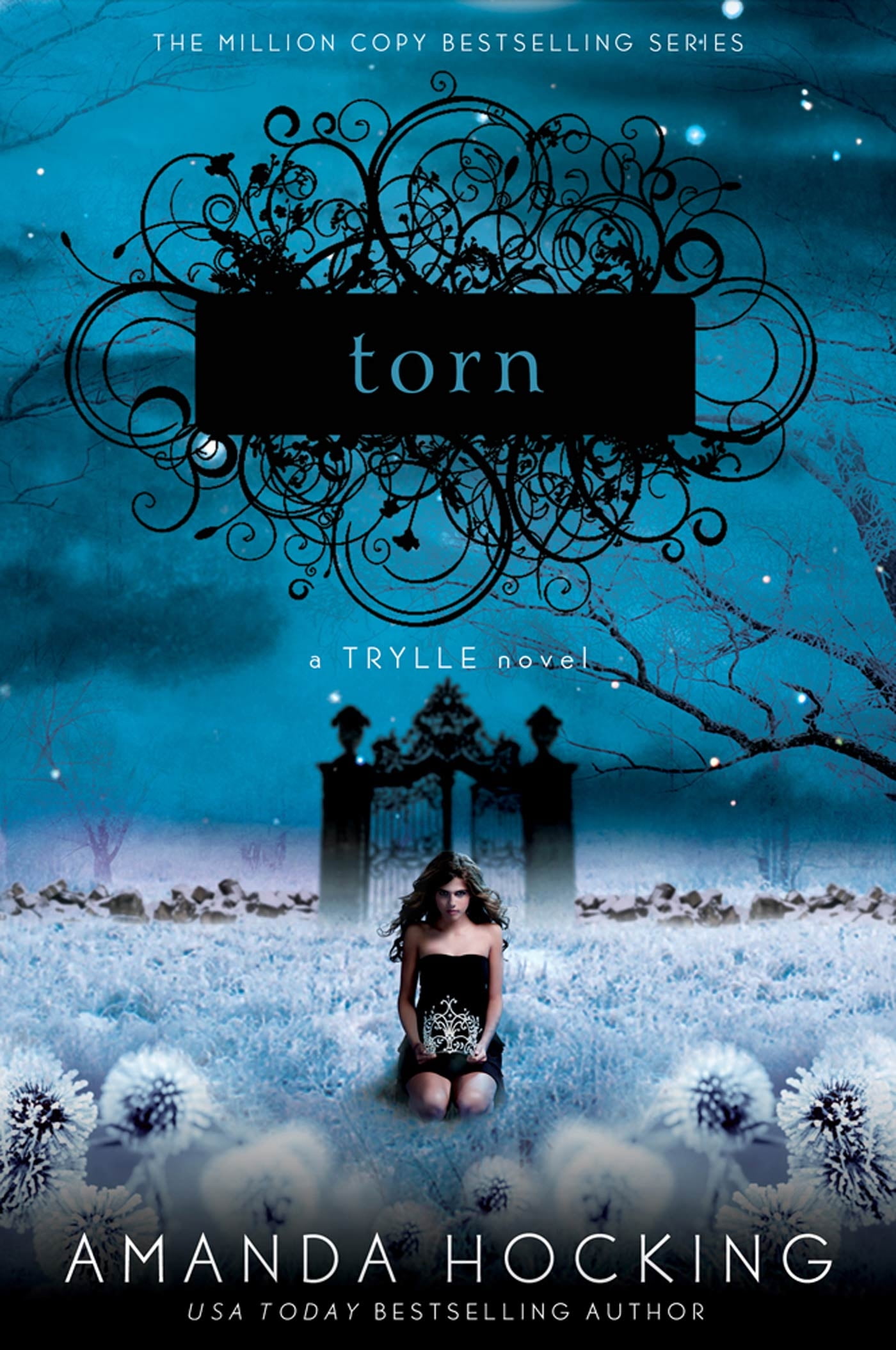Trylle Novel Torn (Series 2) (Paperback)