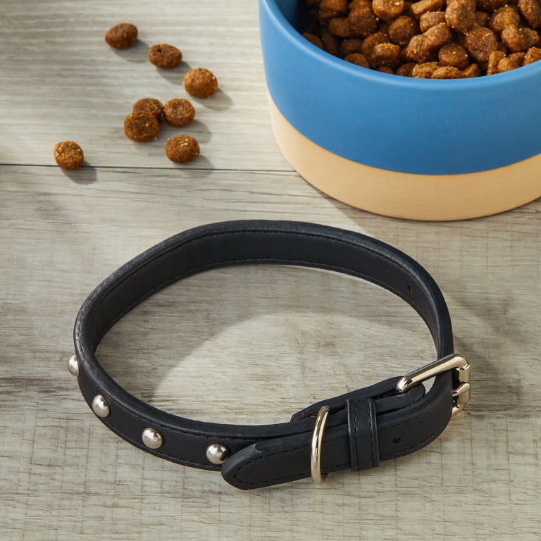 Vibrant Life Leather Black Dog Collar with Gold Studs Adjustable