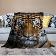 thumbnail image 2 of ARISTURING Winter Fall Throw Blanket for Couch , Animal - Tiger Pattern Cozy Flannel Blanket Throw, Soft Throw Blanket for Bed or Bed Throws for Sofa, Lightweight Throws for Gifts, 2 of 6