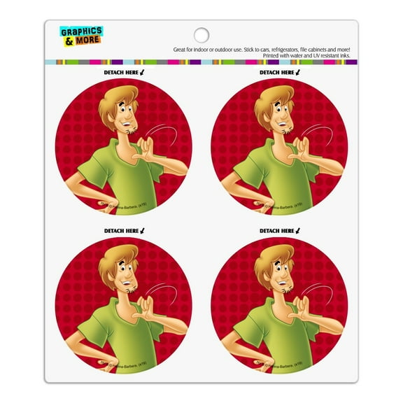 Scooby-Doo Shaggy Character Refrigerator Fridge Locker Vinyl Circle Magnet Set