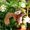 D, variant on WEGFTDUOP Christmas Decorations Simulation Squirrels Pendant Christmas Tree Decorations Creatives Hanging Decorations Christmas Squirrels