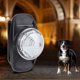 thumbnail image 3 of Collar fluorescente colgante luminoso LED antipérdida de noche para perro mascota impermeable de plástico ABS (blanco), 3 of 5
