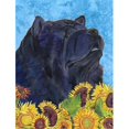 thumbnail image 1 of Carolines Treasures SS4134GF 11 x 15 In. Chow Chow Flag, Garden Size, 1 of 3