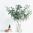 thumbnail image 4 of Travelwant Vivid Anti-fade Cloth Artificial Plant Hexagonal Olive Leaf Branch Imitation Plant Home Decor, 4 of 8