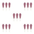 thumbnail image 2 of Redempat 3pieces Transform Environment With Pampas Reed Decor Downy And Durable Pinkish Purple 5Set, 2 of 6