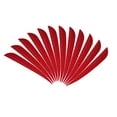 thumbnail image 1 of Almencla 12 Pcs Plumes de Dinde 3 Pouces Vanes Rouges, 1 of 8