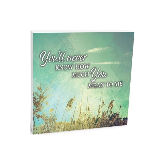 How Much Mean To Me Sunlit Green Grass 10 x 10 Wood Tabletop Sign Plaque