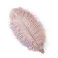 thumbnail image 3 of 10 piezas/lote de plumas de avestruz naturales de color rosa rojo para manualidades, decoración de bodas, fiestas, accesorios, centro de mesa, carnaval, 3 of 5