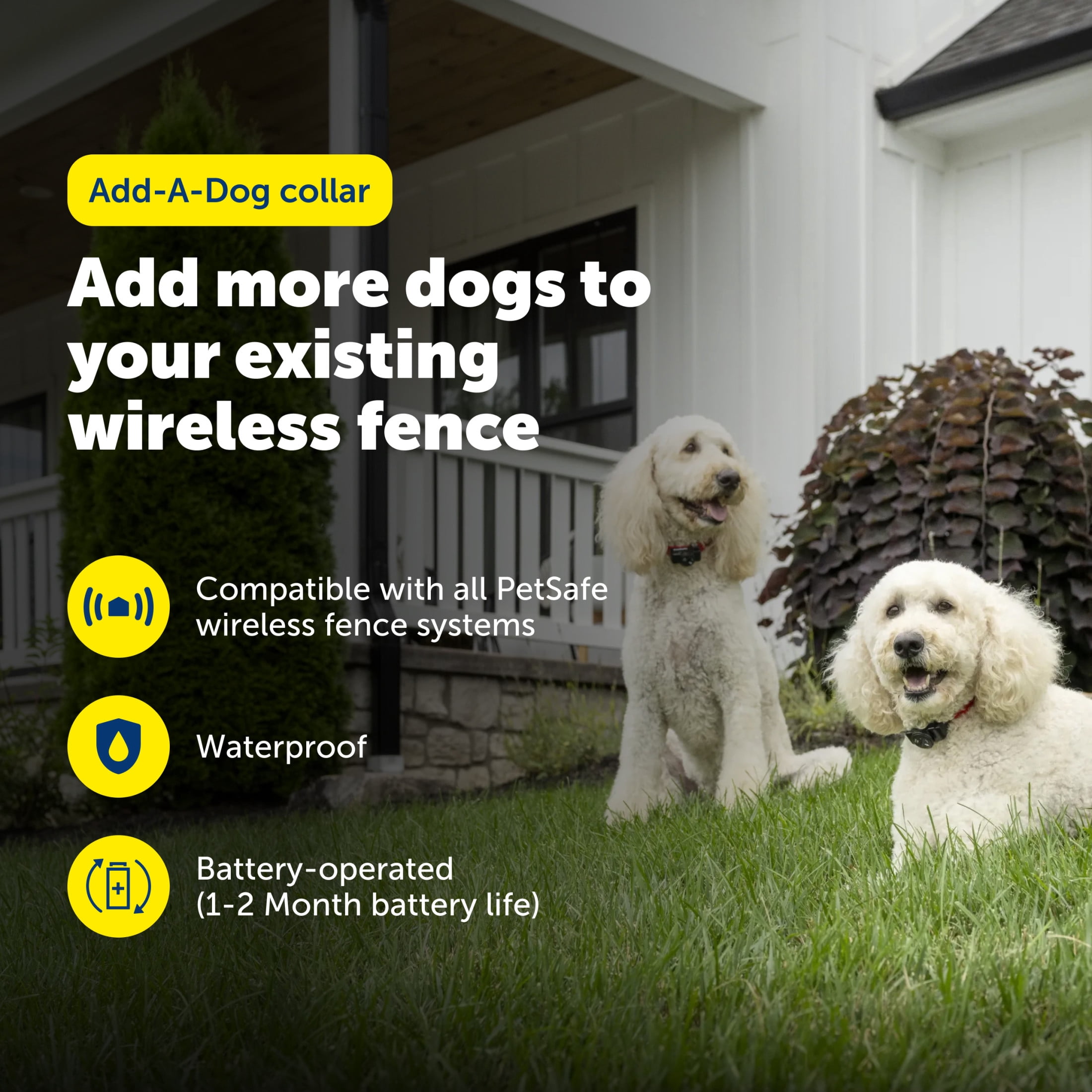 (2 pack) (2 pack) PetSafe Wireless Pet Fence Containment System Receiver Collar Only for Dogs and Cats Over 8 lbs., Waterproof with Tone and Static Correction - from The Parent Company of Invisible Fence Brand