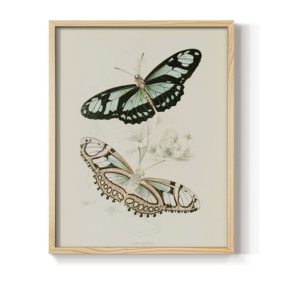 Vintage Animal Print L - 10in. x 8in. Vintage Framed Print in Natural Wood Frame