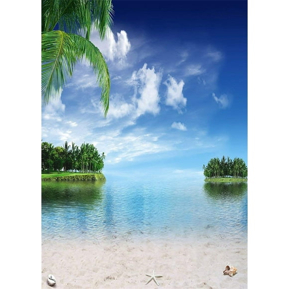 BSDHOME Polyester 5x7ft Beach Photo Backdrop Seaside Blue Sky White Clouds Palm Tree Island Beach Backdrop for Photography Party Hawaiian Scene Setters Personal Portrait Photo Background Studio Props