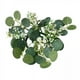 thumbnail image 1 of 4x Anillo de Vela, Corona de Hojas de Eucalipto Artificiales, Decoración Del Hogar, Corona Bohemia Pequeña de 9,8 Pulgadas para Granja, Cocina, Puerta 4 piezas, 1 of 8