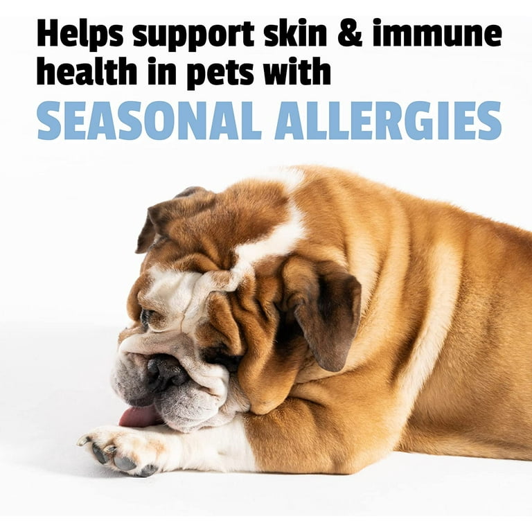 Can Dogs Be Allergic To Stuffed Toys