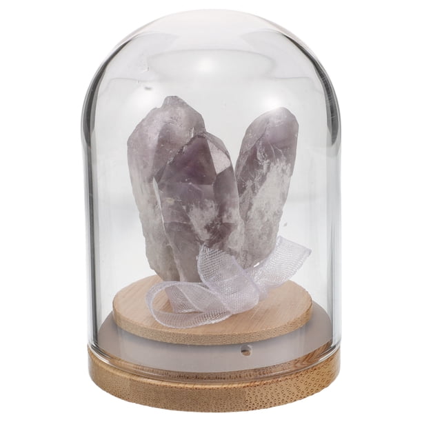 Racimo de flores de diente de cristal, árbol de cristal, cúpula de vidrio, base de madera, piedras de cristal de la suerte para meditación, yoga, atracción, decoración del hogar y la oficina