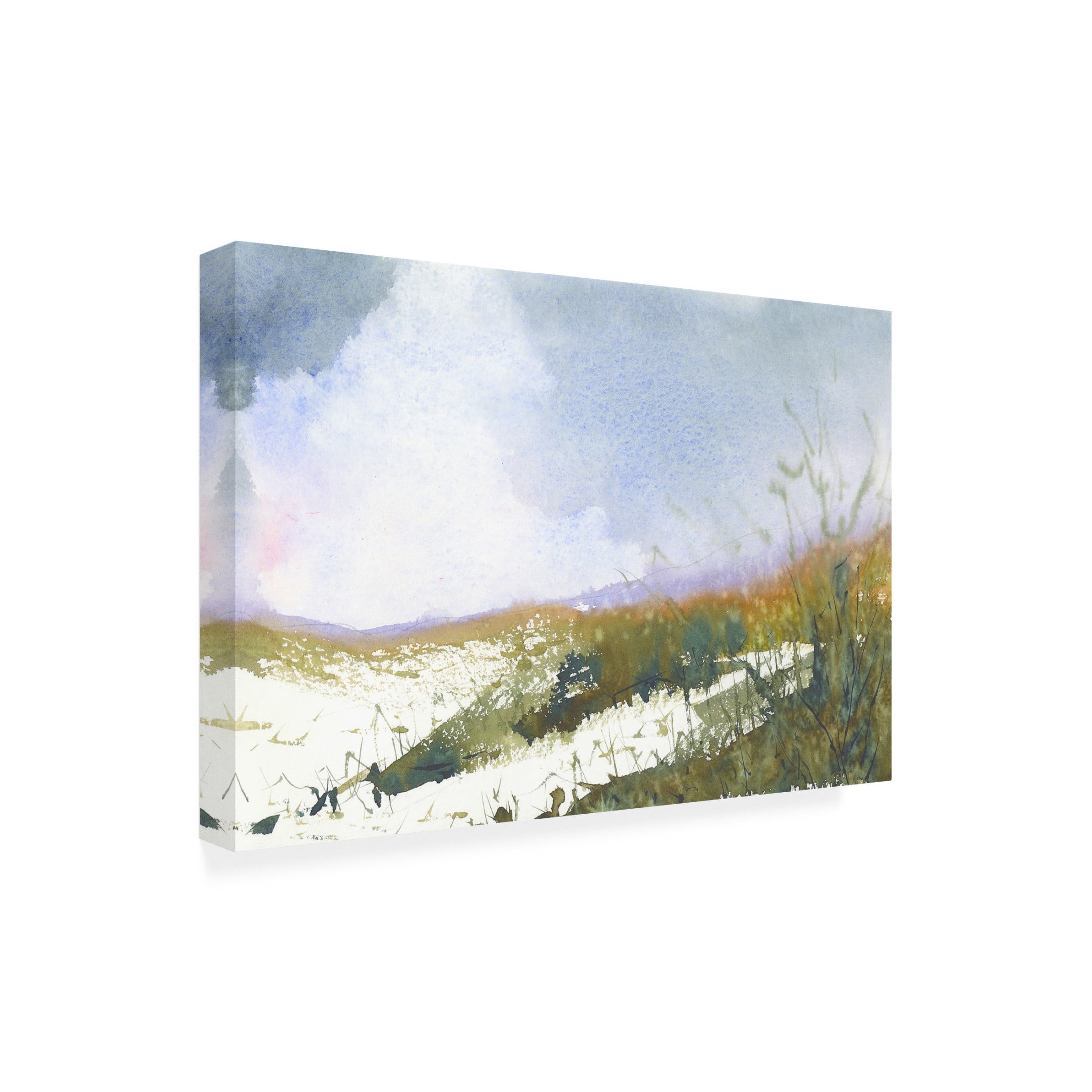 Canvas Wall Art - Randy Noble Fine Art 'Snow Passage' Wall Art for Living Room, Bedroom, or Office Décor by Trademark Fine Art - 19 x 12 Inches