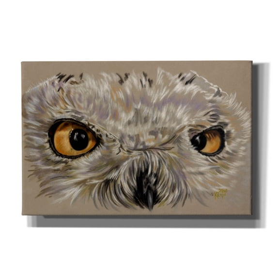 Epic Graffiti 'Snowy Owl' by Barbara Keith, Canvas Wall Art, 18"x12"