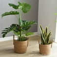 thumbnail image 7 of Seagrass Basket Planters, Flower Pots Cover Storage Basket Plant Containers Hand Woven Basket Planter with Plastic Liners, Flower Pot for Indoor Outdoor Plant(L), 7 of 7