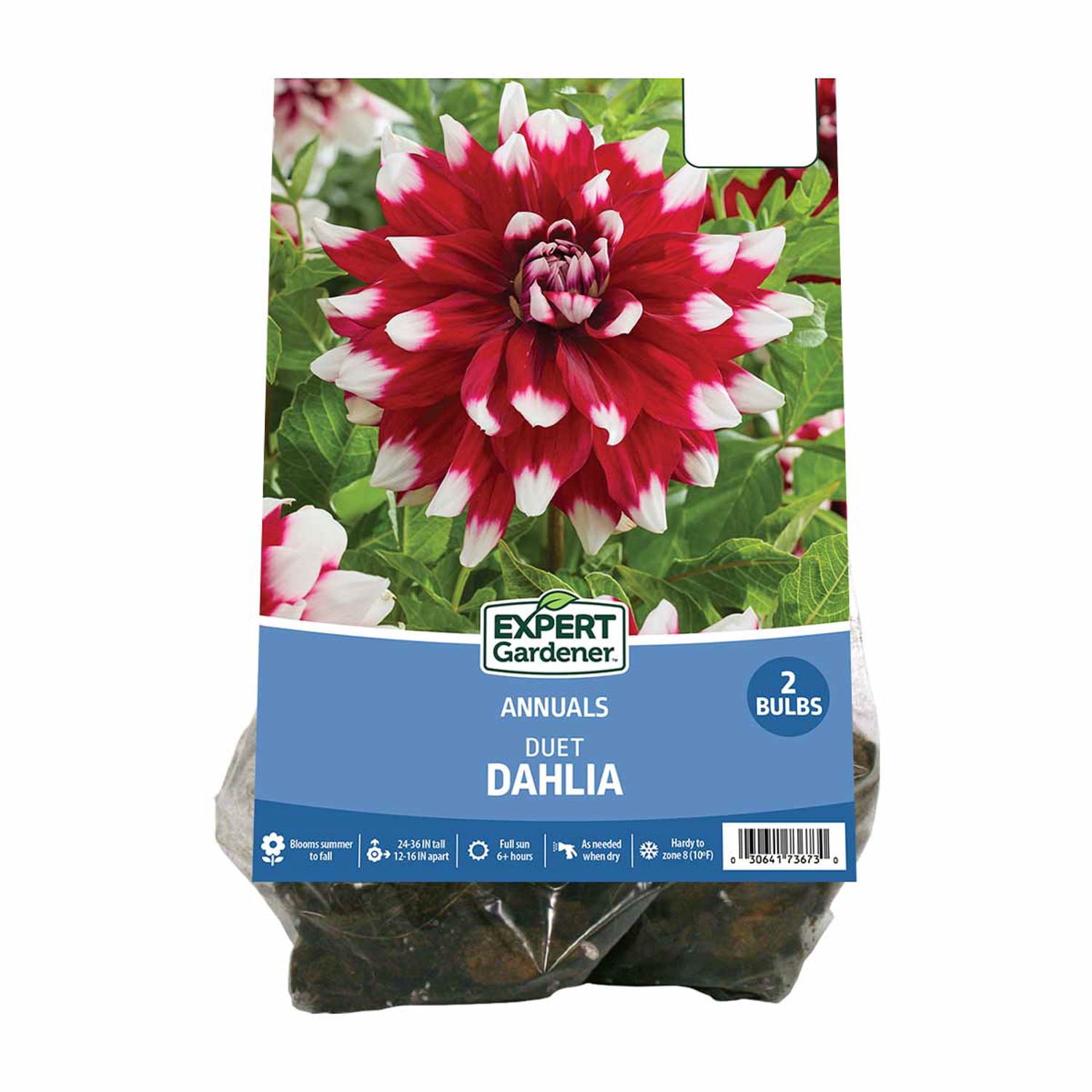 Van Zyverden Full Sun Dahlia Border Mix, Multi-Color Flowering Cut
