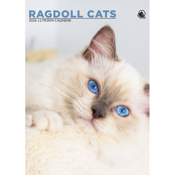 Ragdoll Cats Calendar 2026 – A Year of Relaxed Beauty