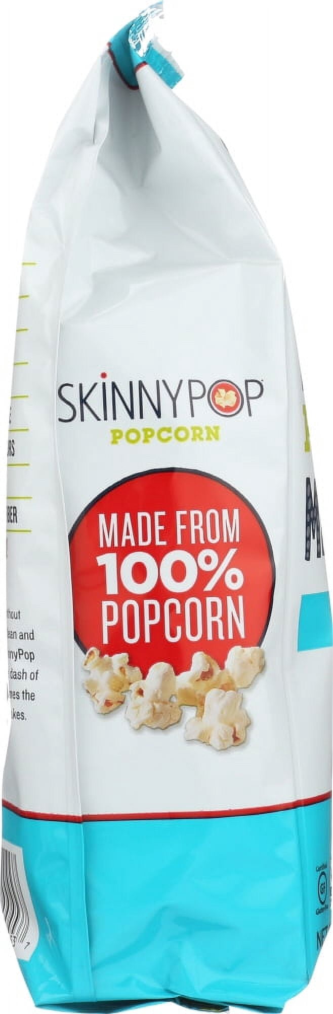 (4 pack) Skinny Pop Sea Salt Mini Cakes