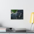 thumbnail image 4 of Black Bear Couple Black Bear Troop Print Animal Wall Art Wildlife Canvas Prints Wall Art Ready to Hang Unframed, 4 of 18