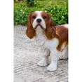 thumbnail image 4 of Hi-Line Gifts King Charles Spaniel Dog Outdoor Garden Statue - 16.25" - Brown and White, 4 of 8