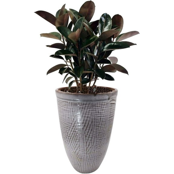 India Meets India Ceramic Indoor Outdoor Planter Flower Pot Handicraft by Awarded Indian Artisan (Grey)