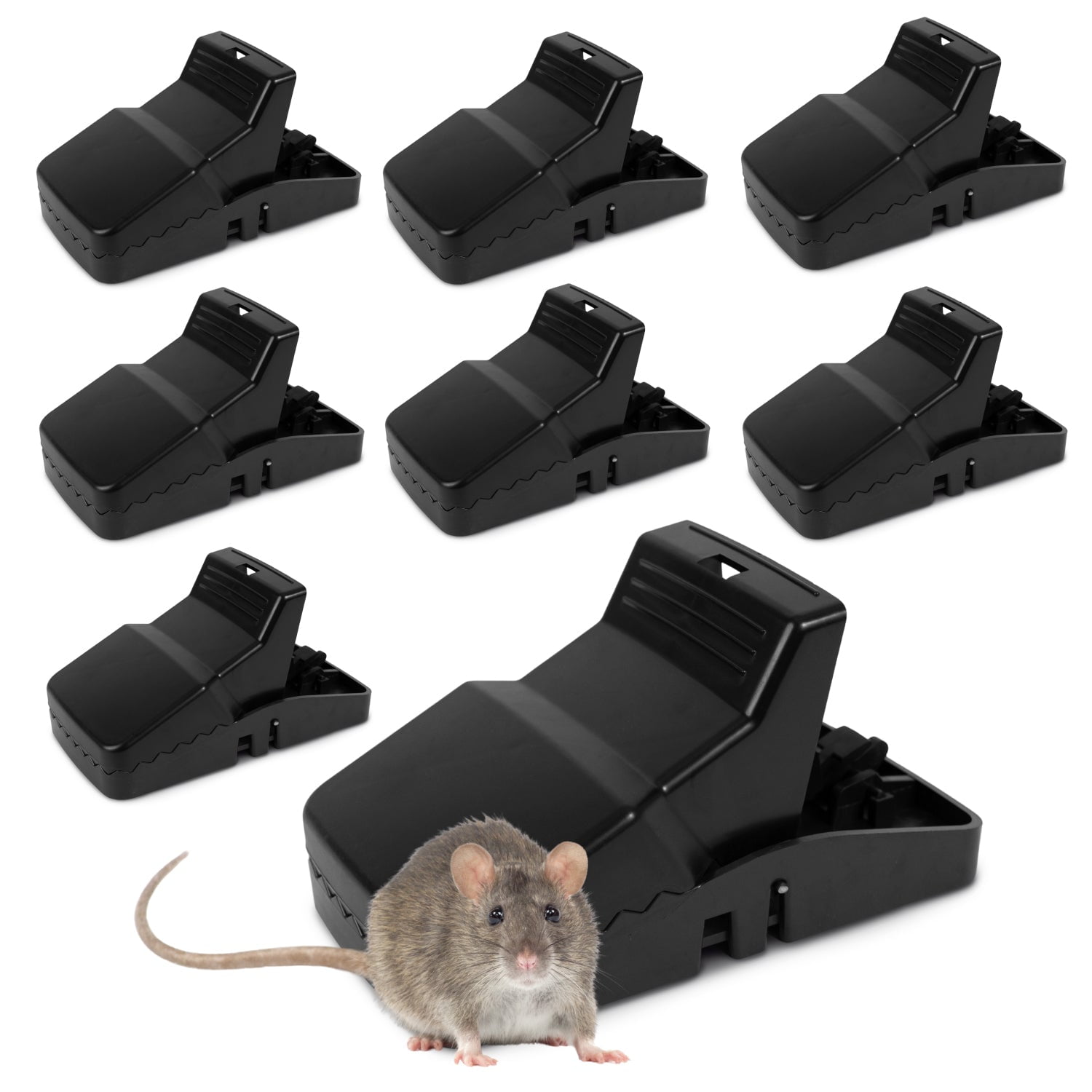 8.3