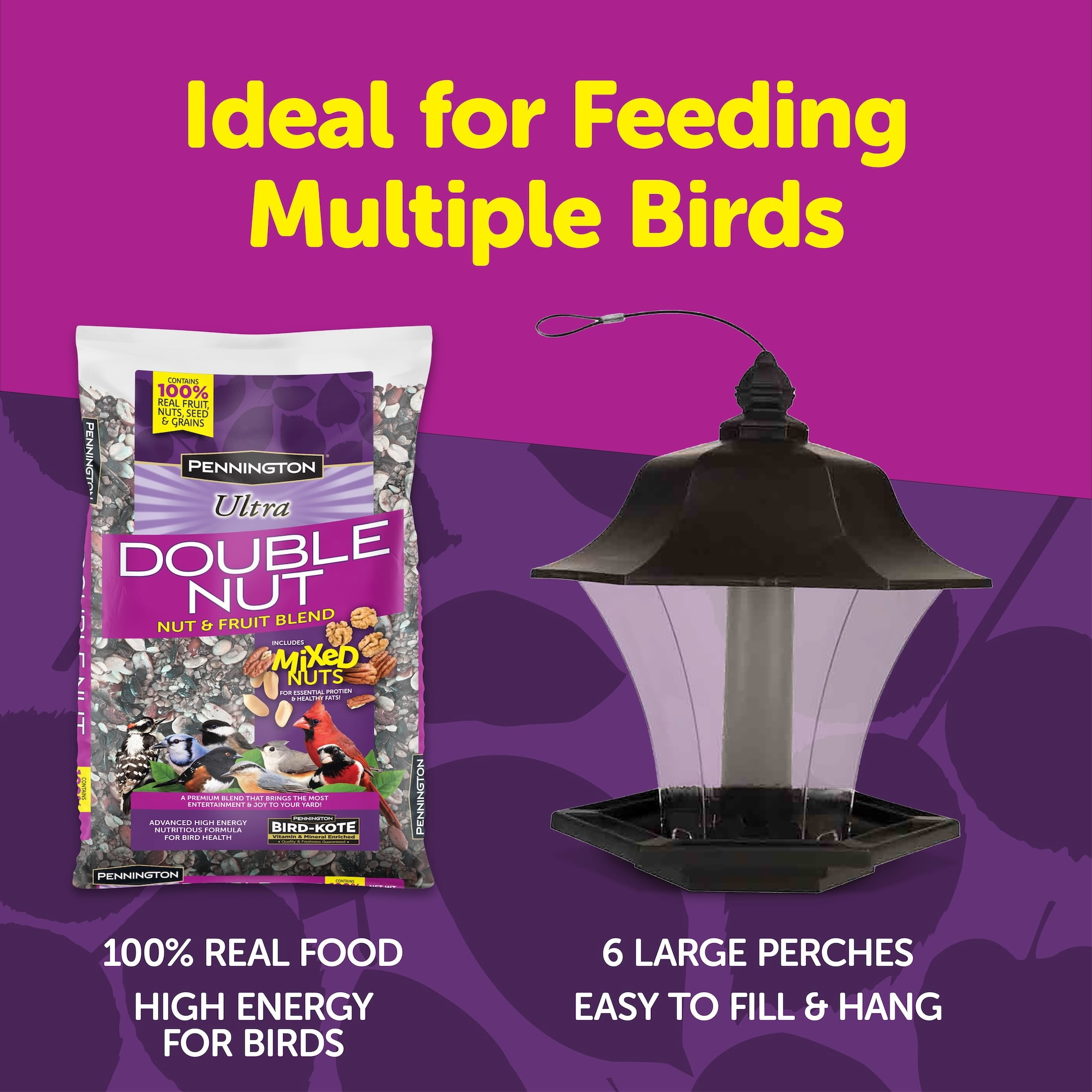 Pennington Coach Light 4lb Capacity / 2.5lb Bird Seed All In One Kit 1 Each