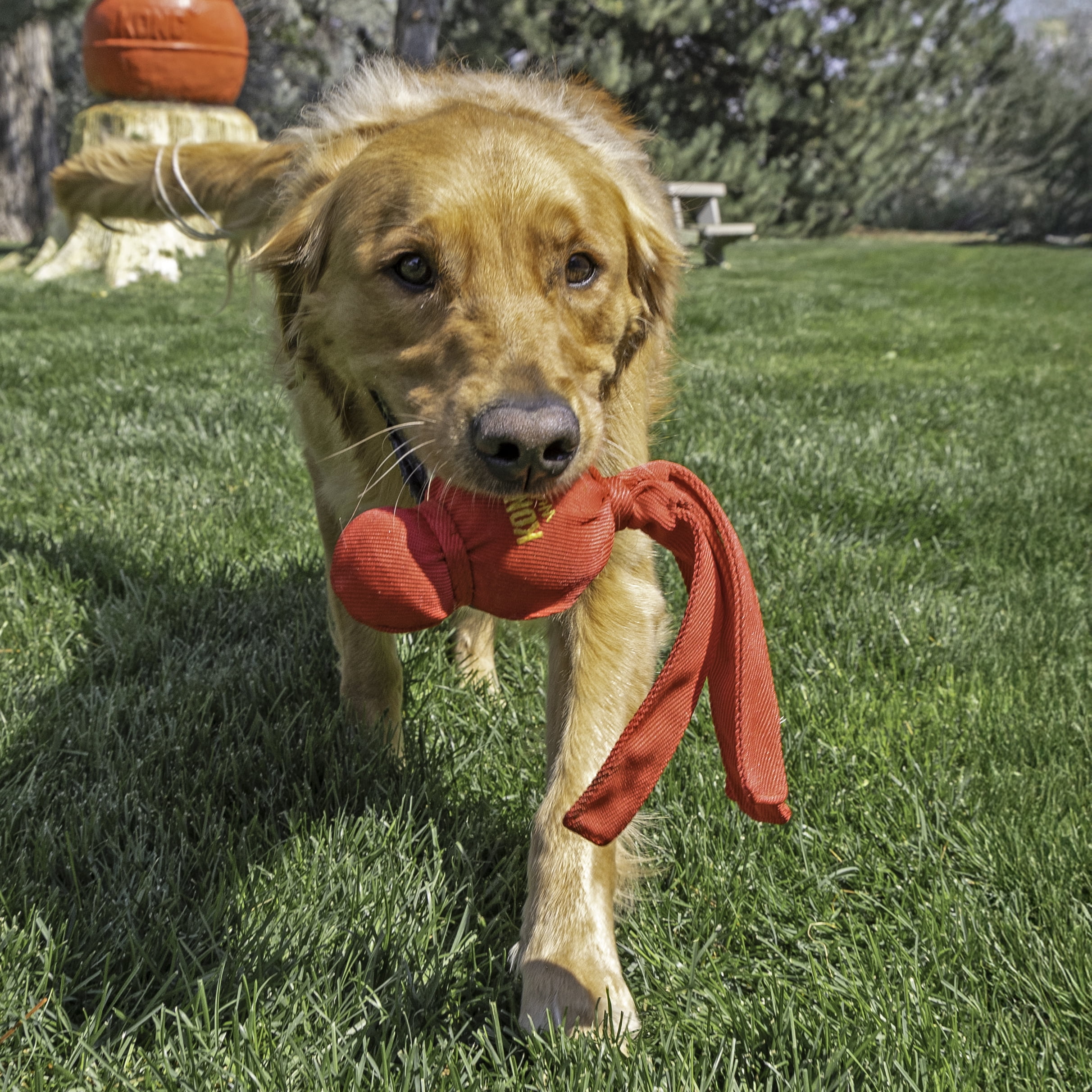 KONG® Wubba Squeaker Dog Toy, Red, Large