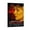 Frame-style, variant on Notes on A Scandal Movie Poster Gifts Canvas Painting Poster Wall Art Decorative Picture Prints Modern Decor 12x18inch(30x45cm)