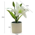 thumbnail image 7 of Travelwant Barnyard Designs Artificial Peace Lily in Small Pot, Large Indoor Faux Potted House Plant for Home, Office, or Parlor Decor, 7 of 7
