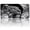 Tiger Stellar Moon, variant on USA 250th Anniversary License Plate, Personalized Hidden Jungle Car Front License Plate Cover, Car Decor Accessory Stainless Aluminum Metal Rust-Proof Car Plate Novelty Vanity Tag 6 X 12 Inch