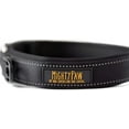 thumbnail image 6 of Mighty Paw Neoprene Padded Dog Collar, Sports Collar with Reflective Stitching, Extra Comfort for Active Dogs, 6 of 9