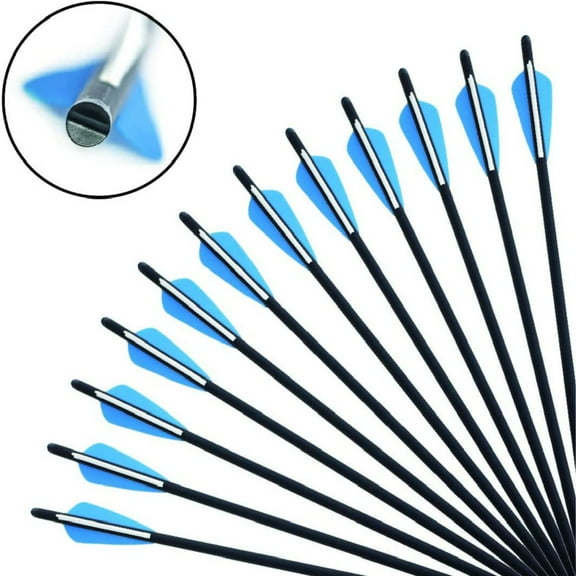 12Pcs Crossbow Arrows Crossbow Bolts 20 inch Hunting Archery Crossbow Carbon Arrows with 4 inch Vanes, Blue