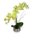 thumbnail image 2 of Vickerman 19.5" Artificial Green Phalaenopsis In Metal Pot., 2 of 3