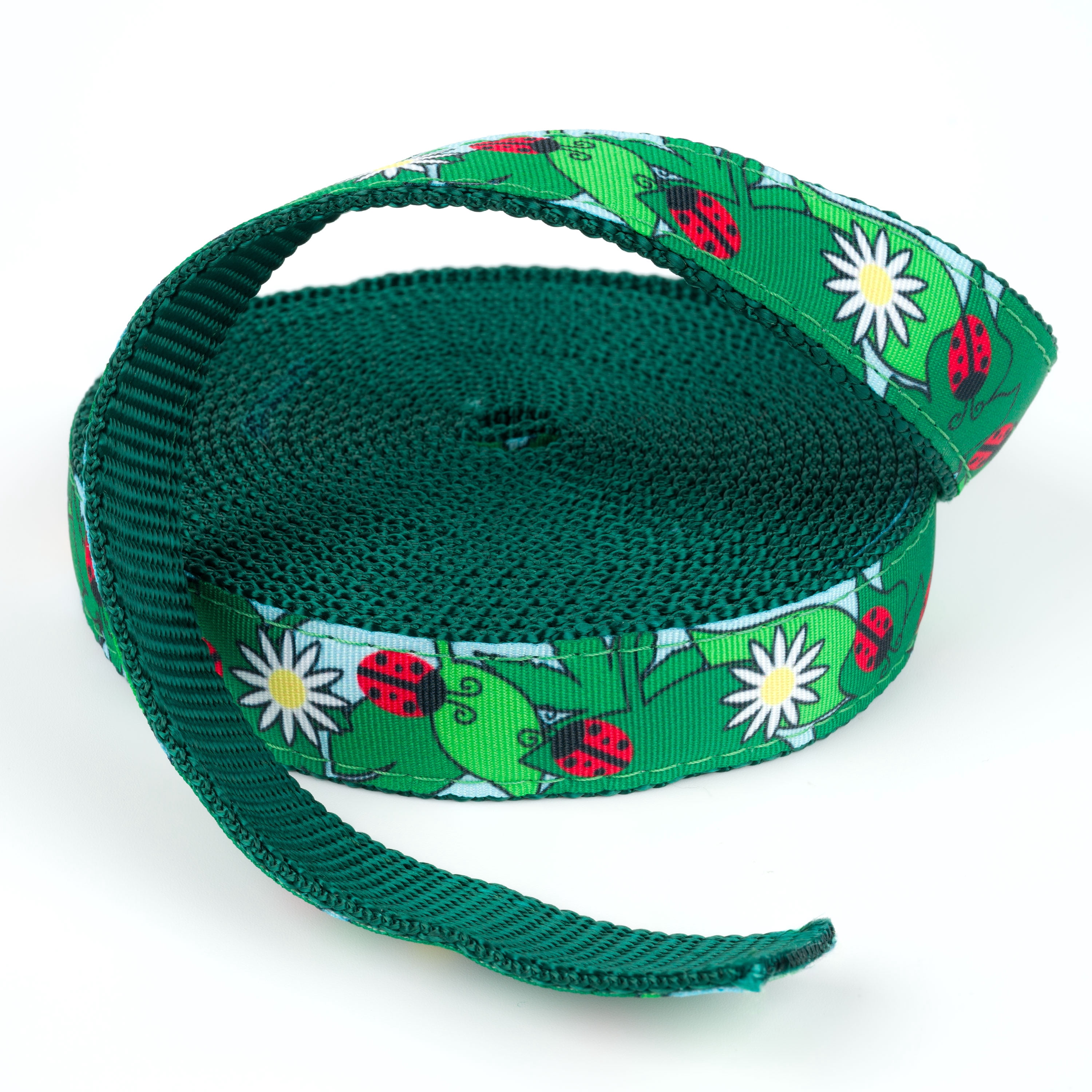 Country Brook Design - Ladybugs Picnic Ribbon on Green Nylon Webbing (1 Inch, 10 Yards)