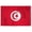 4x6 ft Nylon Flag, variant on AGAS Tunisia Flag 3x5 ft 200D Nylon Fabric Double Stitched Canvas Header Brass Grommets Fade Resistant & Vivid Colors Can be Hung on Flagpole Outside or Indoors on a Wall