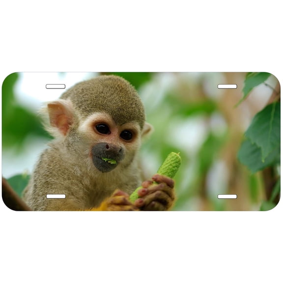 Monkey TAG08 Novelty Car Auto License Plate