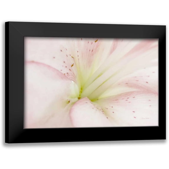 Murdock, Ramona 24x17 Black Modern Framed Museum Art Print Titled - Lily Centered