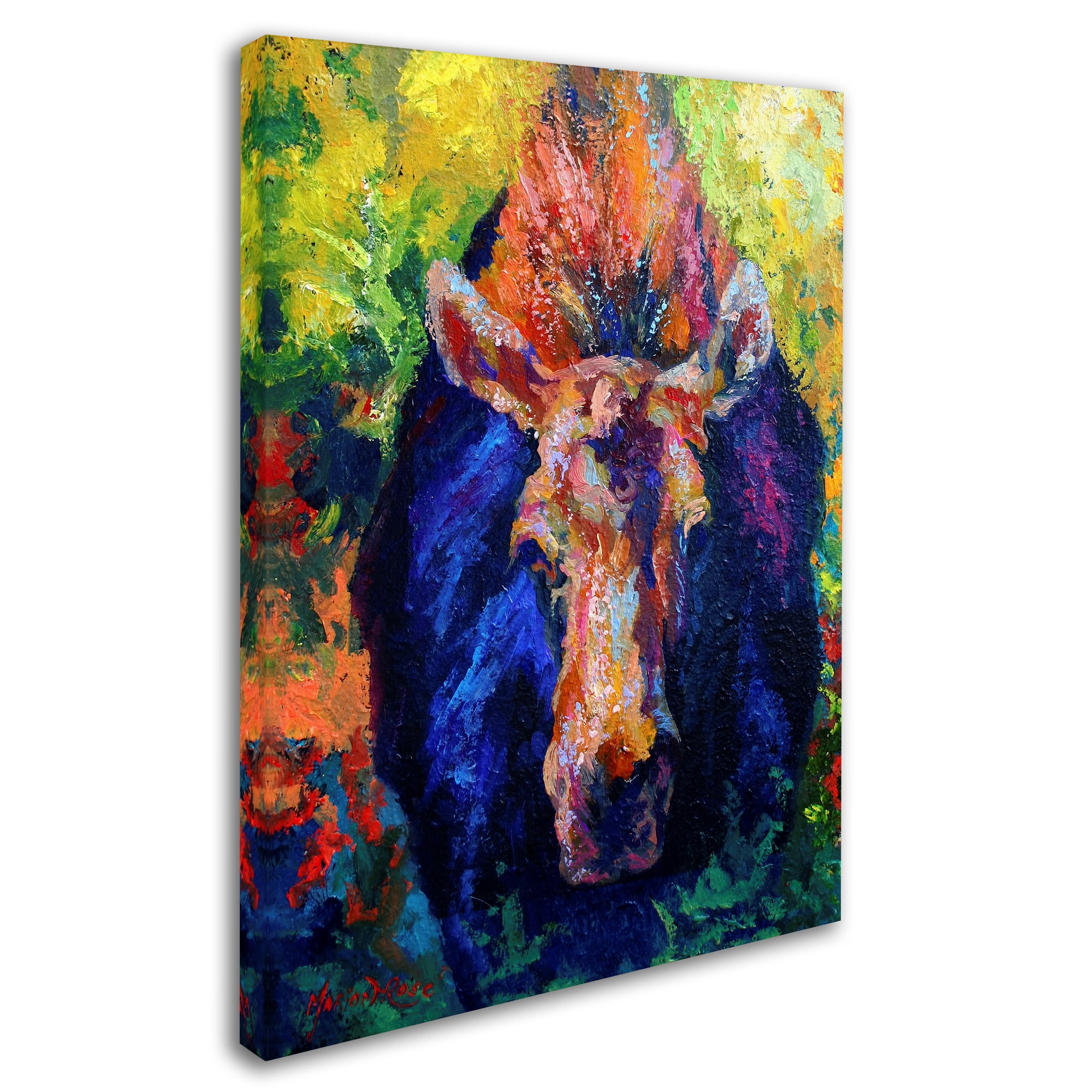 Trademark Fine Art 'Moose II 4' Canvas Art by Marion Rose