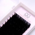 thumbnail image 4 of Signature Ellipse Flat Lashes - Matte Finish, 4 of 5