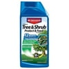 Bayer 12-Month Tree & Shrub Protect & Feed Concentrate, 32 Fl. Oz.