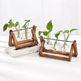 thumbnail image 2 of Desktop Hydroponics Glass Bulb Planter Vase with Wood Stand Versatile Table Decorative Vase for Home/Office, 2 of 5