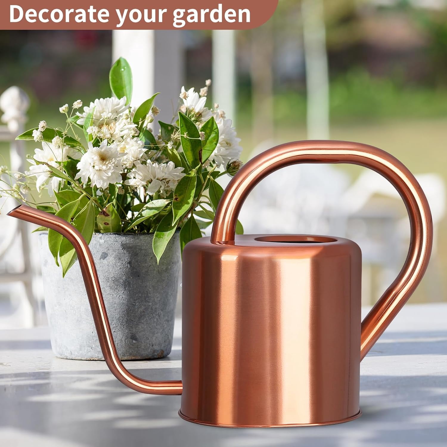 Watering Can, Stainless Steel Can for Indoor & Outdoor Plants, 1L/35oz Long Spout Water with Handle, Rust-Proof Plant Pot House Garden Flowers
